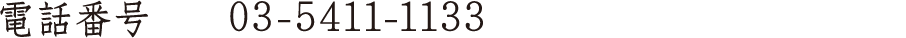 電話番号 03-5411-1133